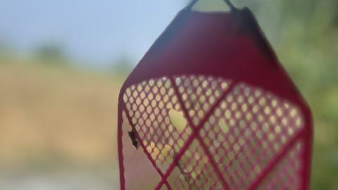 August 2025 - Coral Cove - IMG_7129.jpeg