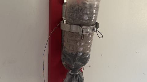 August 2025 - Coral Cove - IMG_7125.jpeg