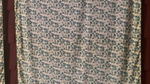 August 2025 - Coral Cove - IMG_7121.jpeg