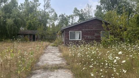 August 2025 - Coral Cove - IMG_7114.jpeg