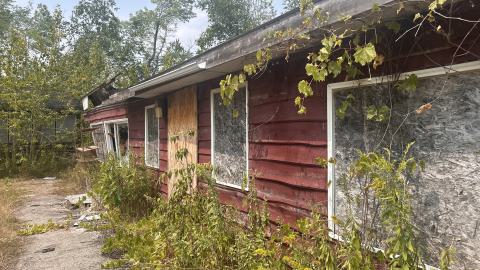 August 2025 - Coral Cove - IMG_7115.jpeg