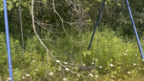 August 2025 - Coral Cove - IMG_7113.jpeg