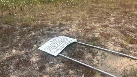 August 2025 - Coral Cove - IMG_7110.jpeg