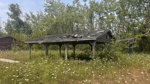 August 2025 - Coral Cove - IMG_7111.jpeg