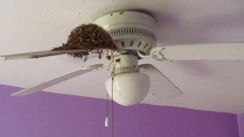 Deavitt - Deavitt-Farm60.jpg