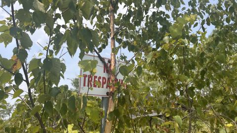 August 2025 - Coral Cove - IMG_7109.jpeg