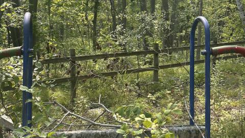 August 2025 - Coral Cove - IMG_7107.jpeg