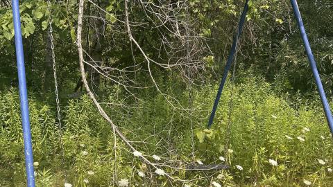 August 2025 - Coral Cove - IMG_7112.jpeg