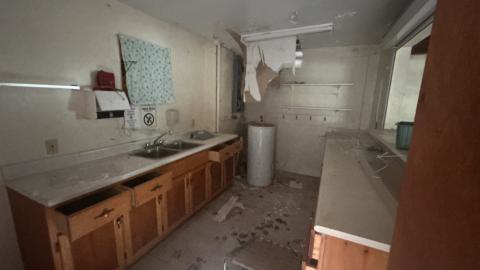 August 2025 - Coral Cove - IMG_7104.jpeg