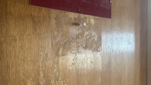 August 2025 - Coral Cove - IMG_7100.jpeg