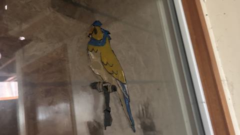 August 2025 - Coral Cove - IMG_7099.jpeg