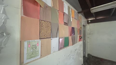 August 2025 - Coral Cove - IMG_7095.jpeg