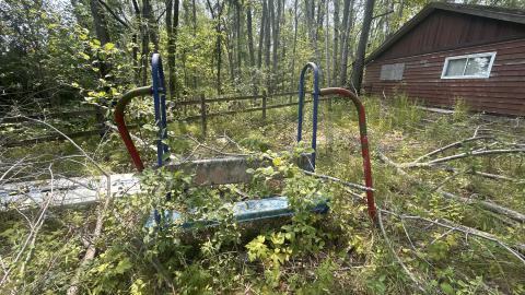 August 2025 - Coral Cove - IMG_7106.jpeg