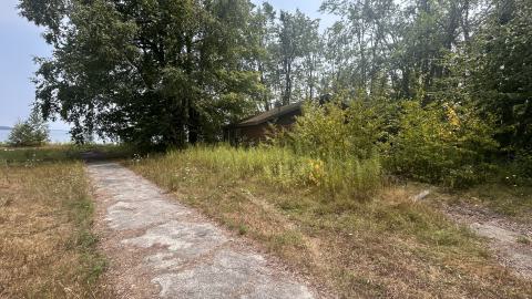 August 2025 - Coral Cove - IMG_7090.jpeg