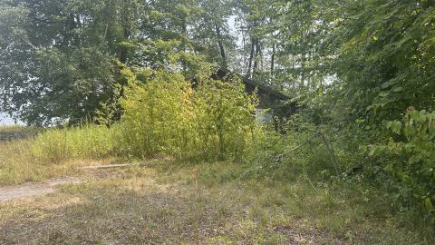 August 2025 - Coral Cove - IMG_7087.jpeg