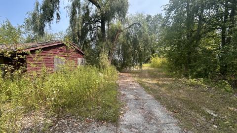 August 2025 - Coral Cove - IMG_7086.jpeg