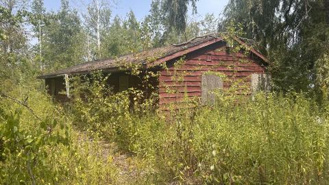 August 2025 - Coral Cove - IMG_7085.jpeg