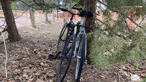 Can We Go Back, To The Way It Used To Be - IMG_1208.JPG