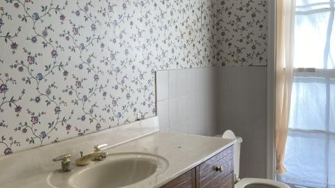 Can We Go Back, To The Way It Used To Be - IMG_1145.JPG