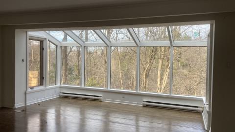 Can We Go Back, To The Way It Used To Be - IMG_1148.JPG