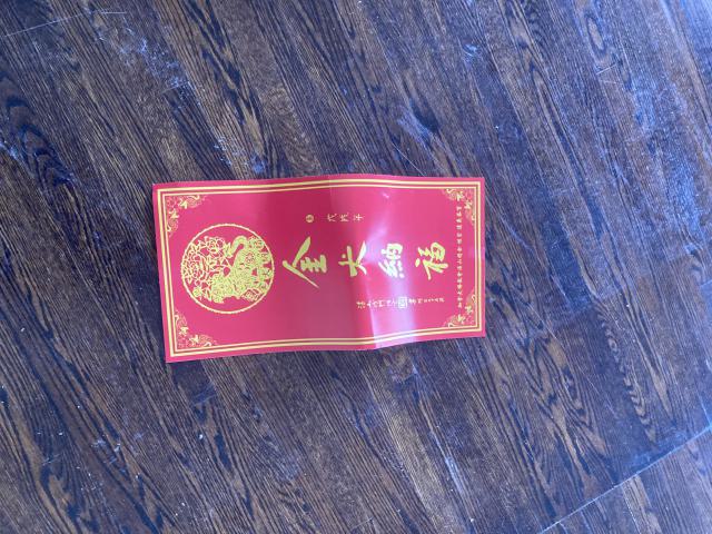 Can We Go Back, To The Way It Used To Be - IMG_1152.JPG