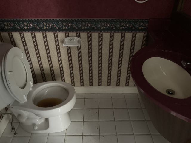 Can We Go Back, To The Way It Used To Be - IMG_1160.JPG