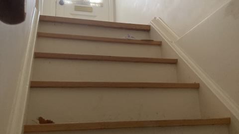 Can We Go Back, To The Way It Used To Be - IMG_1195.JPG