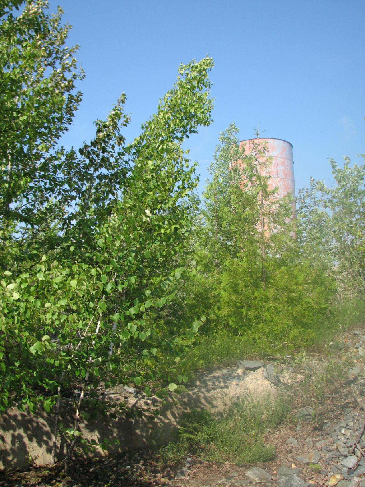 Langmuir Mine - 2025 Adventure - IMG_4908.JPG