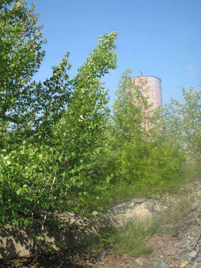 Another view of the tower