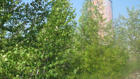 Another view of the tower