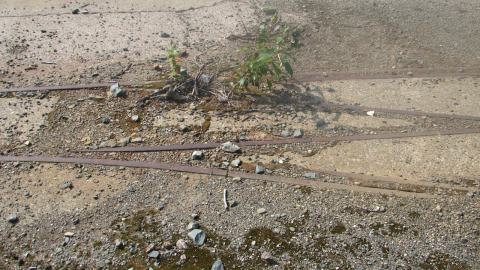 Remnants of the mine railway