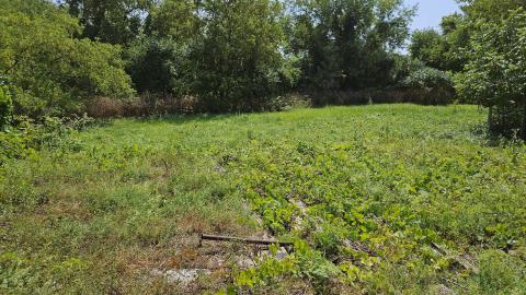 Photo from Forget Equipment Shed - update