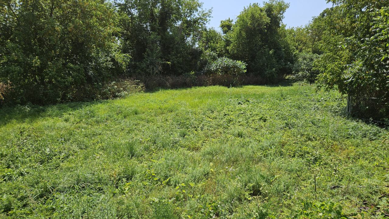 Forget Equipment Shed - update - 20250810_123055.jpg