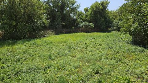 Photo from Forget Equipment Shed - update