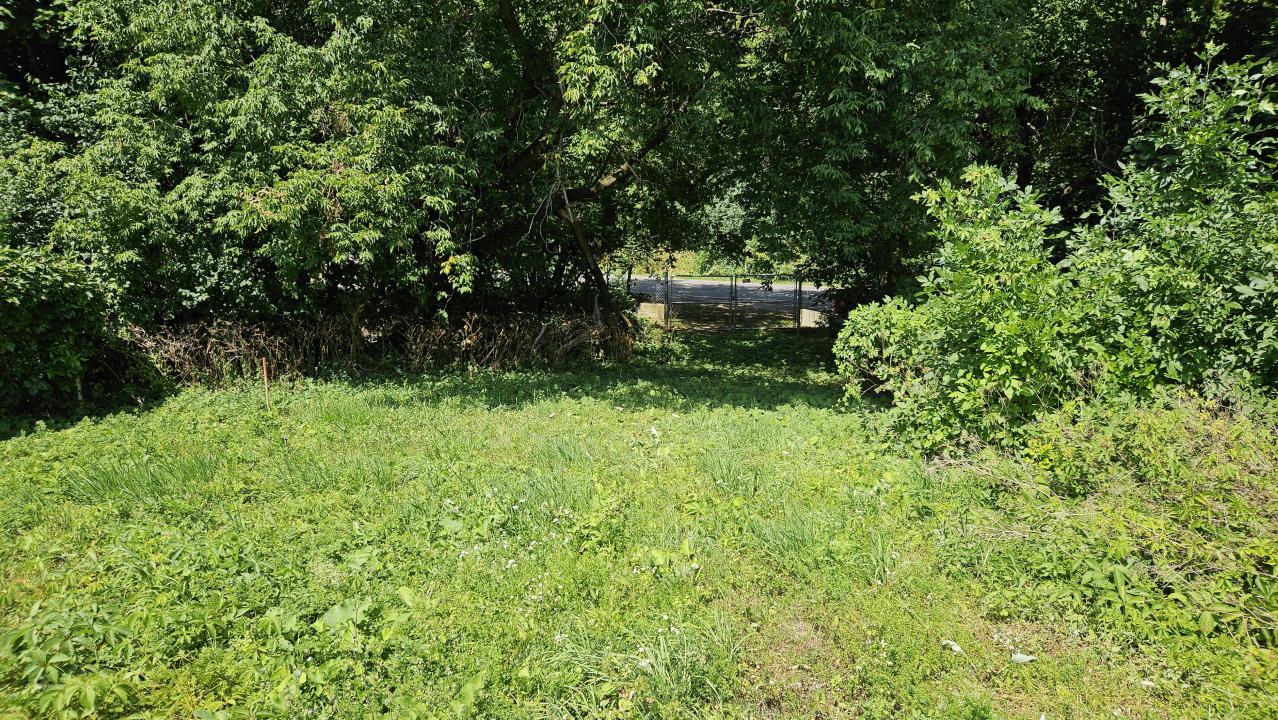 Forget Equipment Shed - update - 20250810_123106.jpg