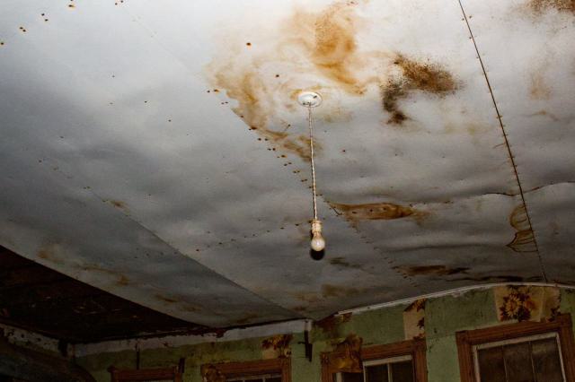 Dangling light on a moldy ceiling