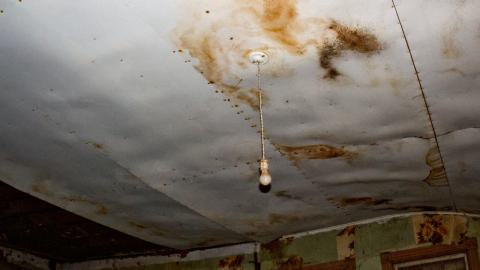 Dangling light on a moldy ceiling