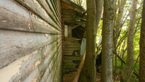 Completely destroyed bathroom.