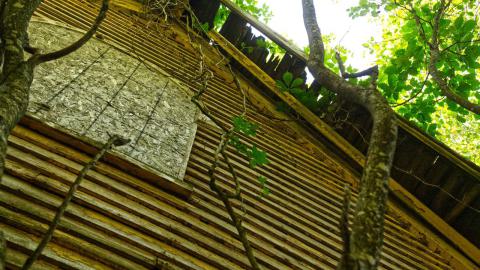Damaged roof and siding.