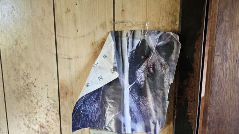 Laundry Day - 20250804_185440.jpg