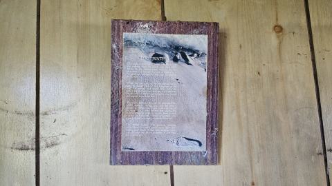 Consolation Location photo 5