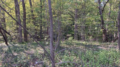 Up And Around - Don't Go Down - IMG_1562.JPG