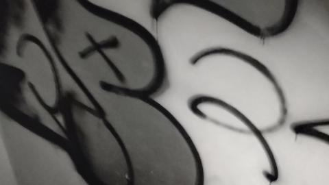 Disco - 1000003117.jpg