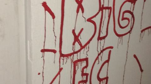 Disco - 1000003144.jpg