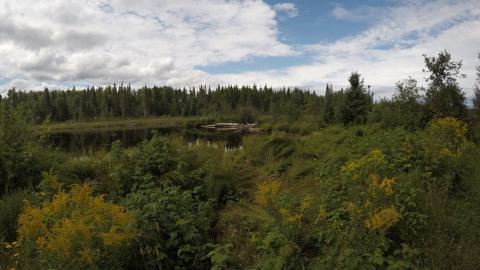 Photo from Kormak - Not much left.