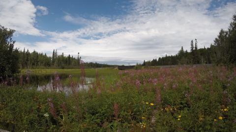 CPR bridge looking north.