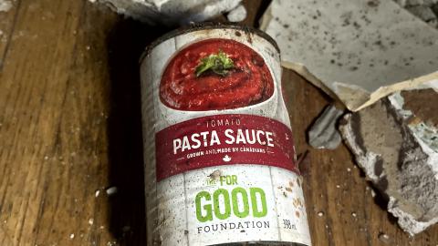 Battered on Burnhamthorpe - IMG_1283.jpg