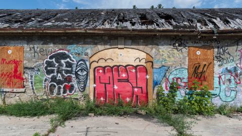 August 2025 - DSC04974.jpg