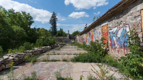 August 2025 - DSC04971.jpg