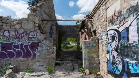 August 2025 - DSC04975.jpg